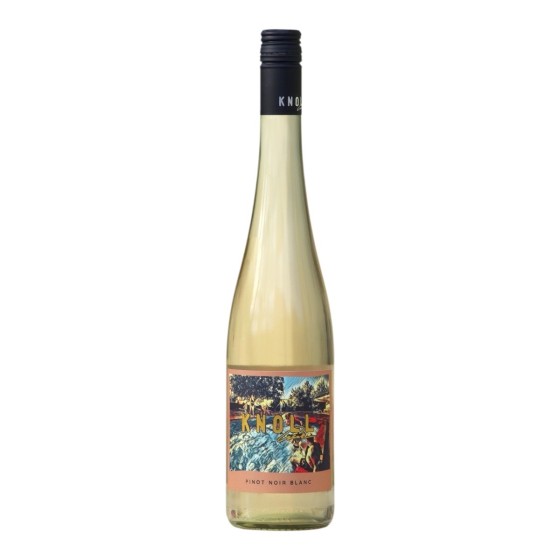 Pinot noir blanc 2025 ( rulandské modré klaret )