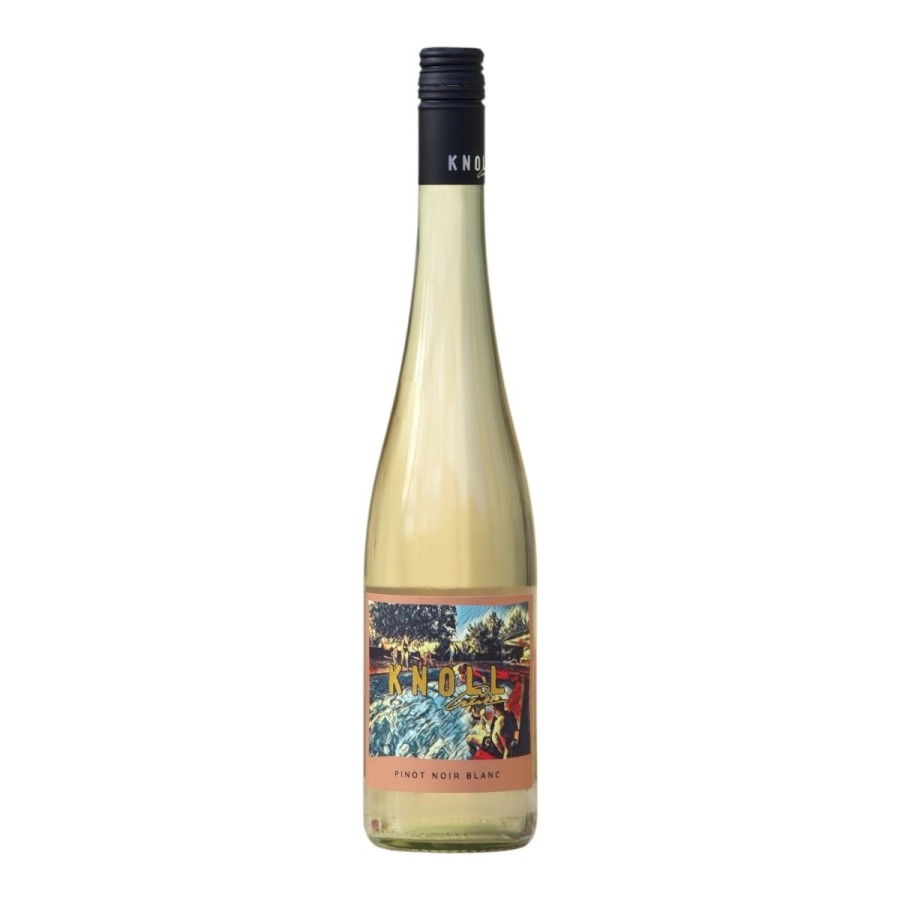 Pinot noir blanc 2025 ( rulandské modré klaret )