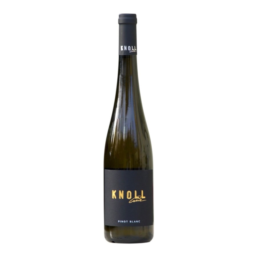 Pinot blanc 2025 ( rulandské bilé )