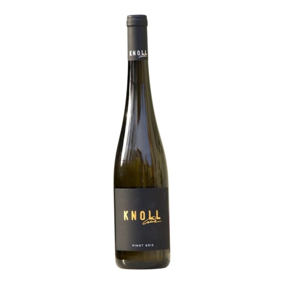 Pinot gris 2025 ( rulandské šedé )
