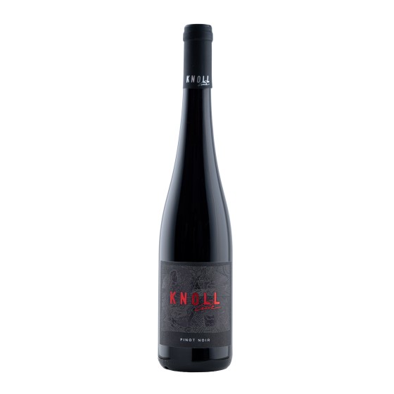 Pinot noir 2024 ( rulandské modré )