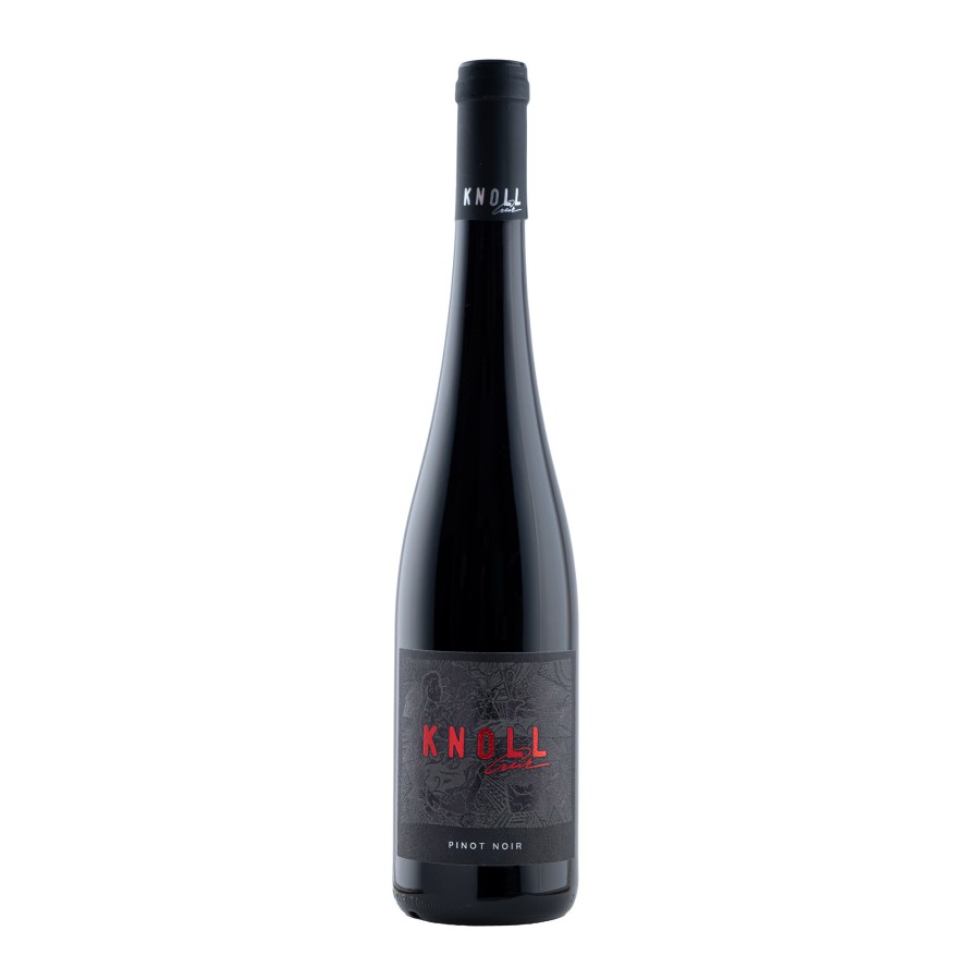 Pinot noir 2024 ( rulandské modré )